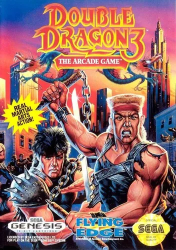 Double Dragon 3 - The Arcade Game