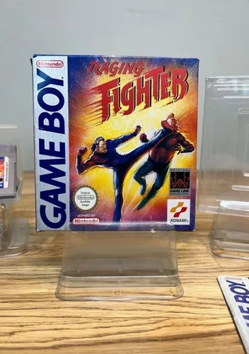 Raging Fighter