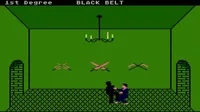 Black Belt (1982) (Atari)