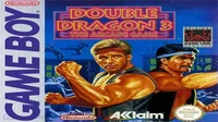 Double Dragon 3