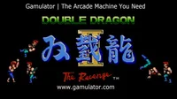 Double Dragon II - The Revenge