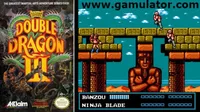 Double Dragon III - The Sacred Stones