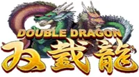 Double Dragon