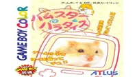 Hamster Paradise 3