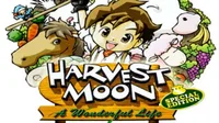 Harvest Moon A Wonderful Life
