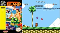 Hudson's Adventure Island III