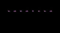 Karateka
