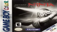 Return Of The Ninja