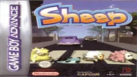 Sheep