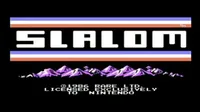 Slalom