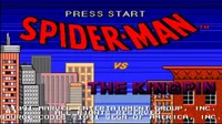 Spider-Man Vs. The Kingpin